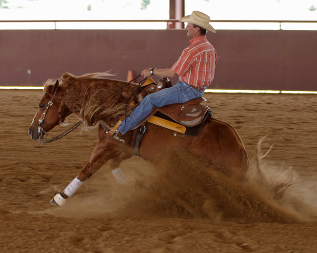 CSI Saddle Pads are proudly ridden by Performance Horse Riders