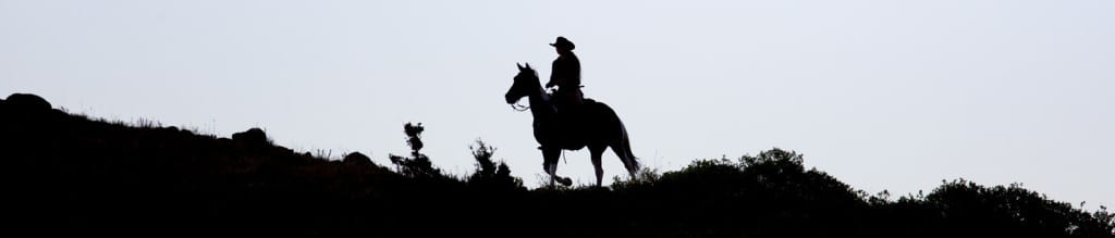 CSI Saddle Pads are great for Endurance Riders