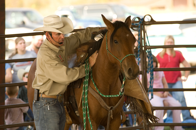 Kerry Kuhn of Kerry Kuhn Horsemanship says CSI Saddle Pads is the best saddle pad in the industry