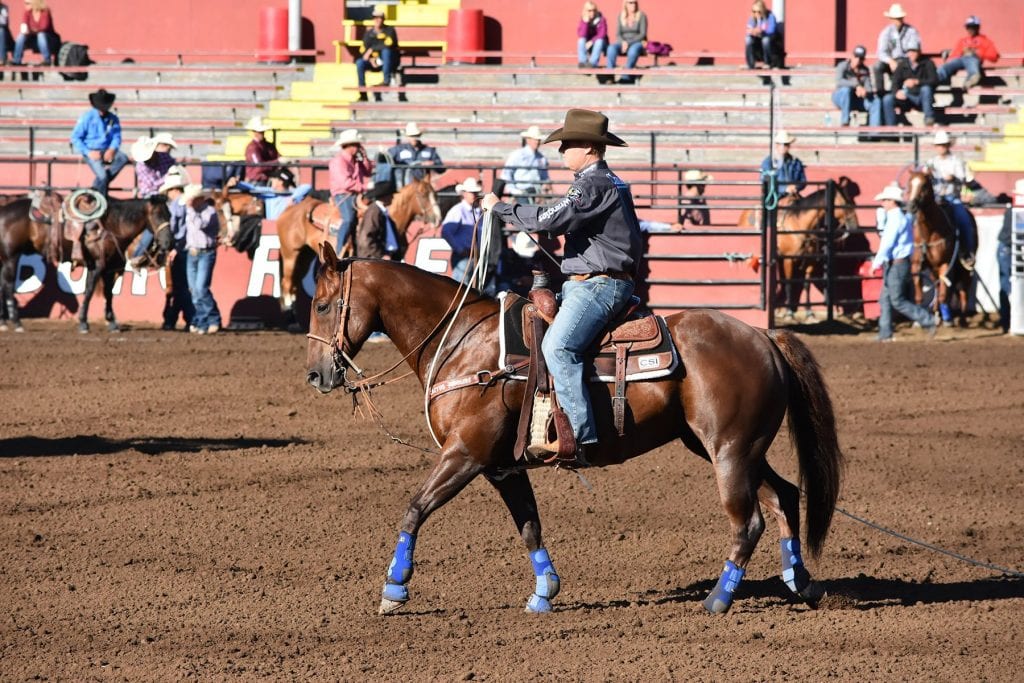 Choose a saddle for your horse that fits well!