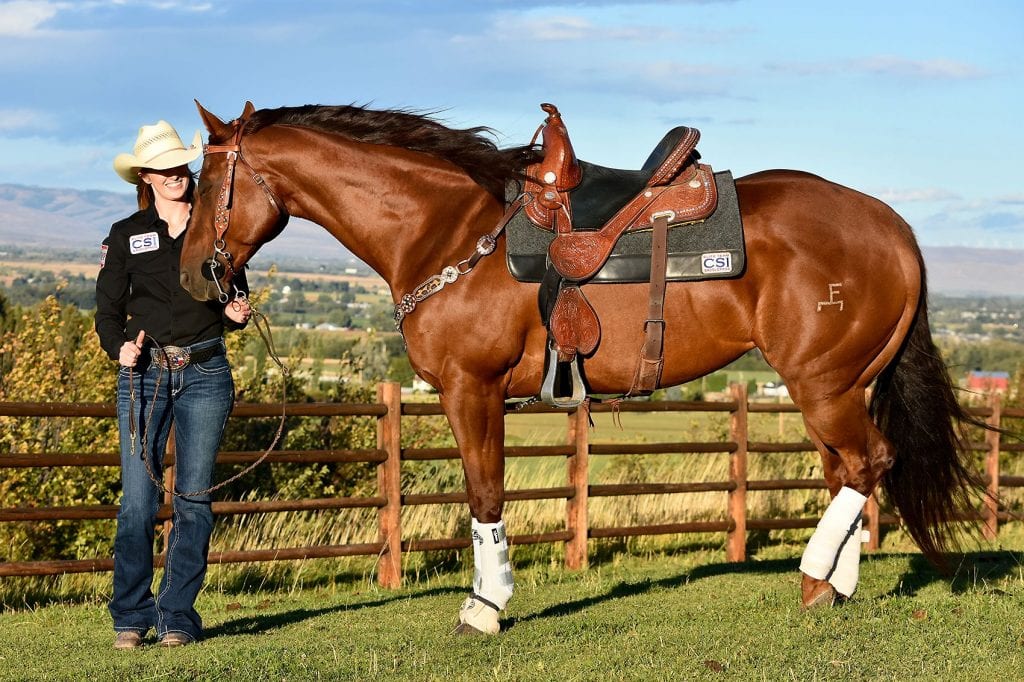 CSI Saddle Pads is committed to educating horse owners on better saddle fit.