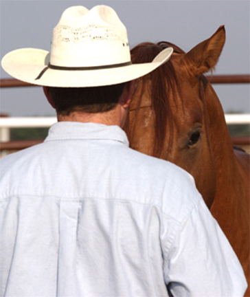 A truly comfortable ride means that both the horse and rider, here's what CSI Saddle Pad can do to help!