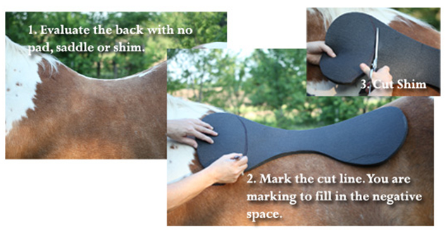 CSI Saddle Pads how to fit your Shim