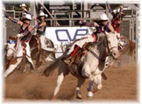 CSI Saddle Pad ridden by All American Cowgirl Chicks