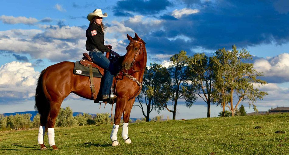 CSI Saddle Pad Committed to Saddle Fit