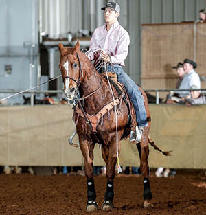David Palma - Team CSI Saddle Pad 2019